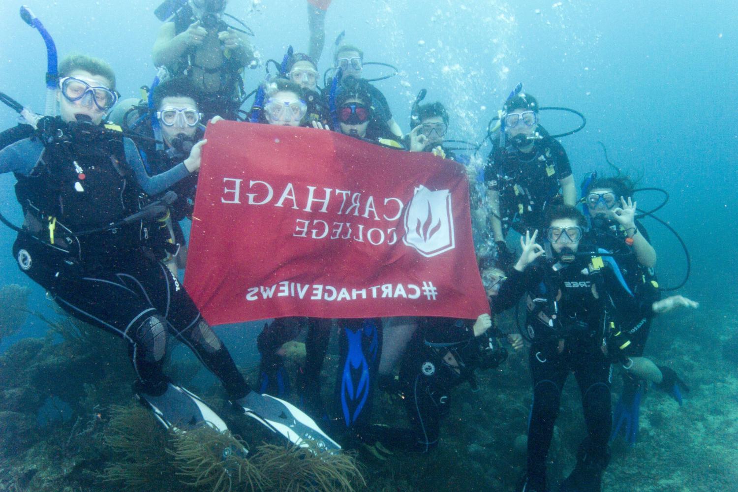 学生们手持<a href='http://0f4s.ngskmc-eis.net'>博彩网址大全</a>旗帜，在j学期洪都拉斯游学之旅中潜水.
